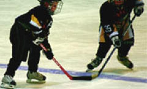 Altrincham Silverbaldes Ice Rink