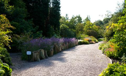 Ness Botanical Gardens 