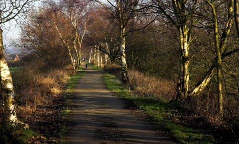 The Whitegate Way
